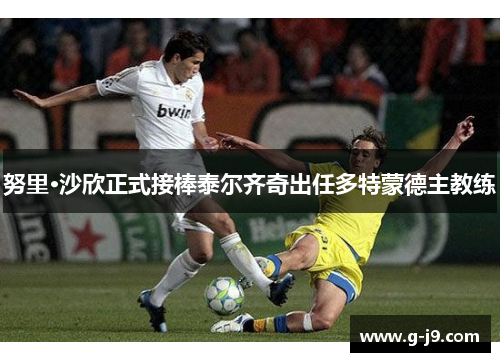 努里·沙欣正式接棒泰尔齐奇出任多特蒙德主教练
